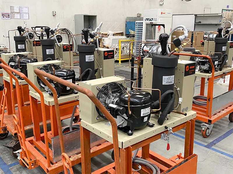 10006IMG1058 10006IMG1058